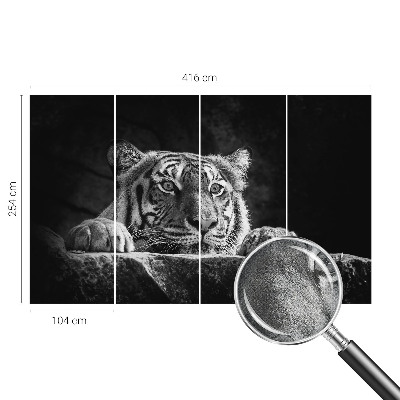 Fototapeta pro holku Dravý pohled