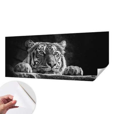 Fototapeta pro holku Dravý pohled