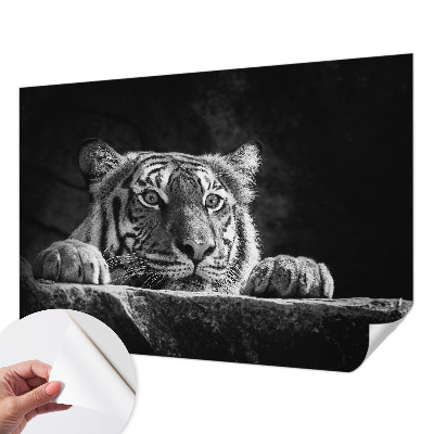 Fototapeta pro holku Dravý pohled