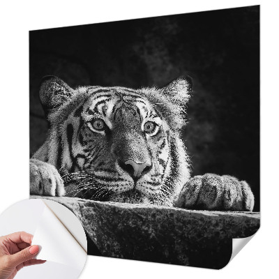 Fototapeta pro holku Dravý pohled