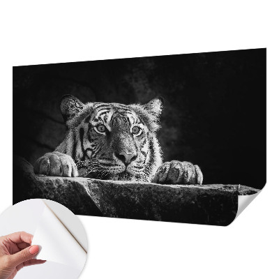 Fototapeta pro holku Dravý pohled