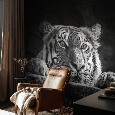 Fototapeta pro holku Dravý pohled