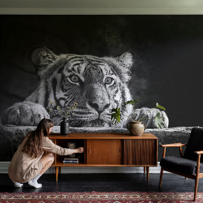 Fototapeta pro holku Dravý pohled