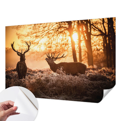 Moderní samolepicí fototapeta Jelen ráno