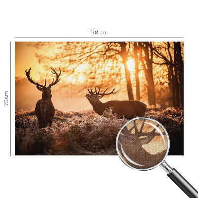 Moderní samolepicí fototapeta Jelen ráno