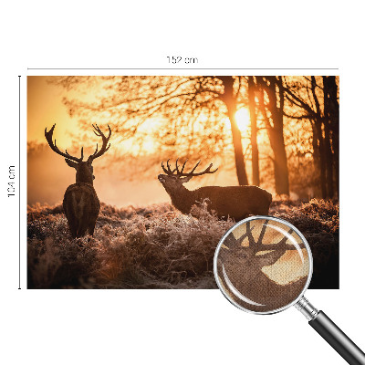 Moderní samolepicí fototapeta Jelen ráno