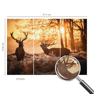 Moderní samolepicí fototapeta Jelen ráno