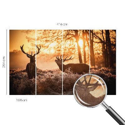 Moderní samolepicí fototapeta Jelen ráno