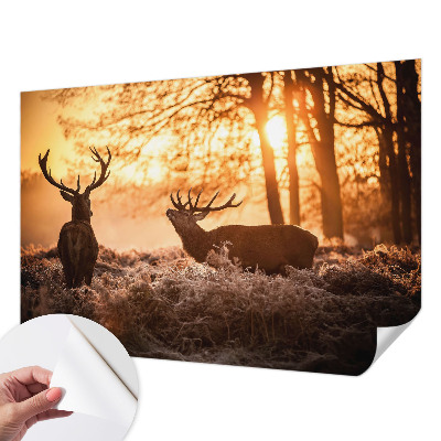 Moderní samolepicí fototapeta Jelen ráno