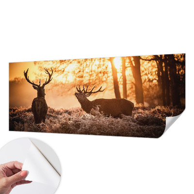 Moderní samolepicí fototapeta Jelen ráno