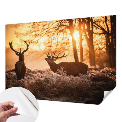 Moderní samolepicí fototapeta Jelen ráno