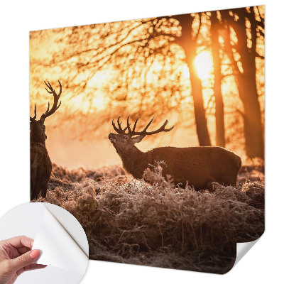 Moderní samolepicí fototapeta Jelen ráno