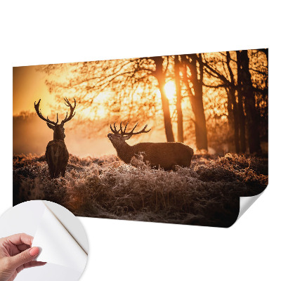 Moderní samolepicí fototapeta Jelen ráno