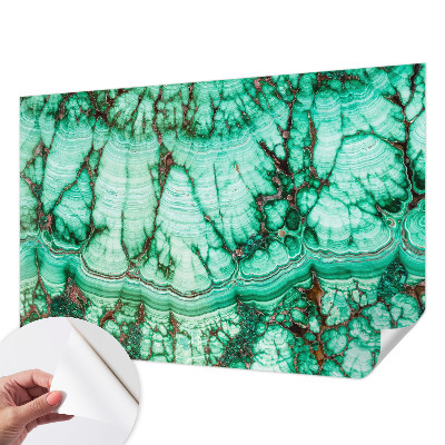 Fotografická tapeta na zeď Zelené vzory