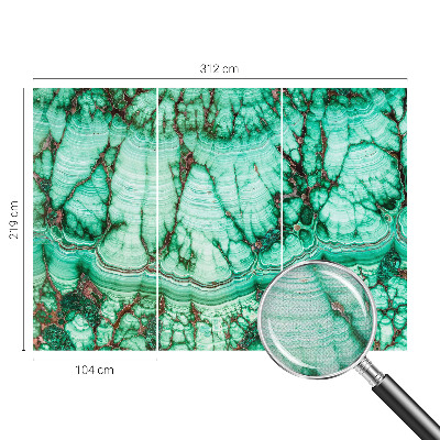 Fotografická tapeta na zeď Zelené vzory