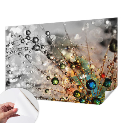 Samolepicí fototapeta do dětského pokoje Osvěžuji šperky