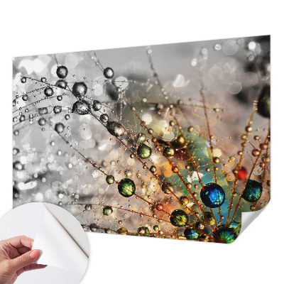 Samolepicí fototapeta do dětského pokoje Osvěžuji šperky