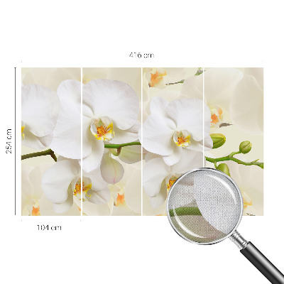 Fotografická tapeta samolepicí Květinové bohatství