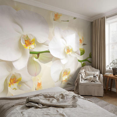 Fotografická tapeta samolepicí Květinové bohatství