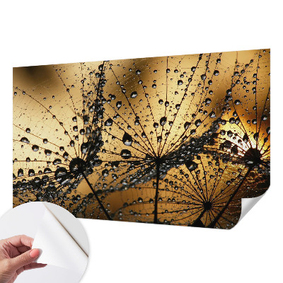 Dětská fototapeta Jemné kapky