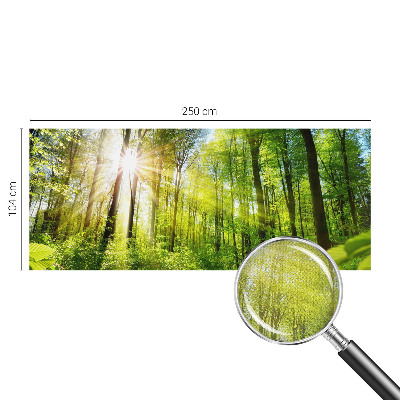 Samolepící fototapeta 3d Lesní světlo