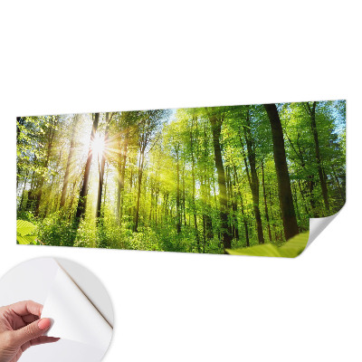 Samolepící fototapeta 3d Lesní světlo