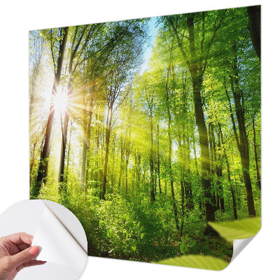 Samolepící fototapeta 3d Lesní světlo