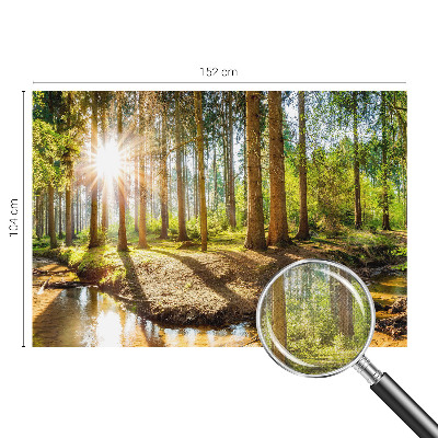 Samolepící tapeta Lesní idyla