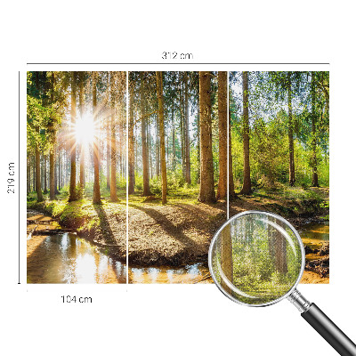 Samolepící tapeta Lesní idyla