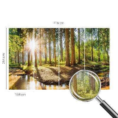 Samolepící tapeta Lesní idyla