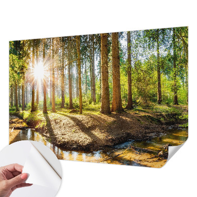 Samolepící tapeta Lesní idyla