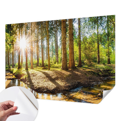 Samolepící tapeta Lesní idyla