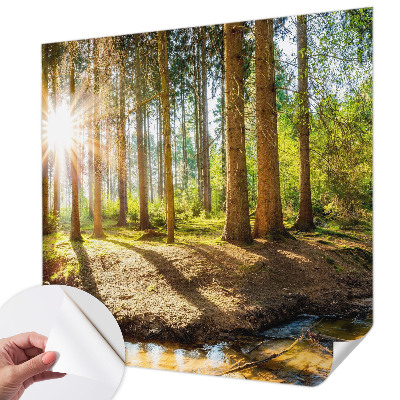 Samolepící tapeta Lesní idyla