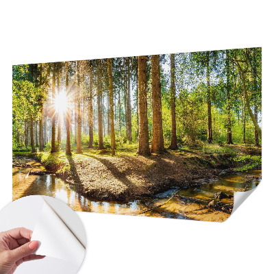 Samolepící tapeta Lesní idyla