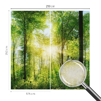 Samolepicí fototapeta do ložnice Lesní harmonie