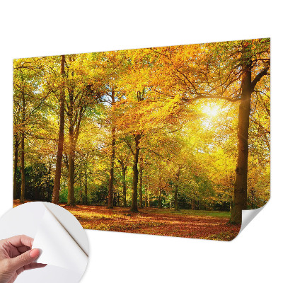 Fotografická tapeta samolepicí Zlaté listy