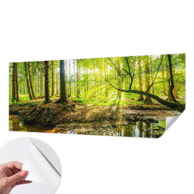 Fototapeta do dětského pokoje Zelená krajina