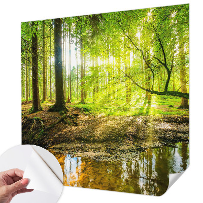 Fototapeta do dětského pokoje Zelená krajina