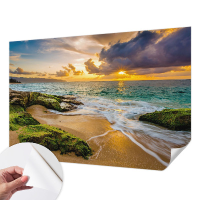 Fototapeta pro kluka Námořní harmonie