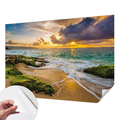 Fototapeta pro kluka Námořní harmonie