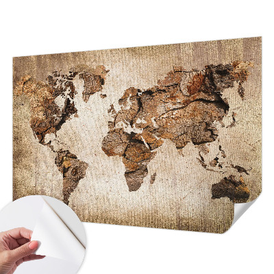 Fototapeta pro holku Dřevěná mapa