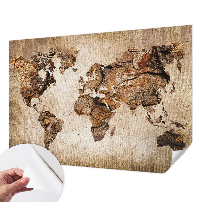Fototapeta pro holku Dřevěná mapa