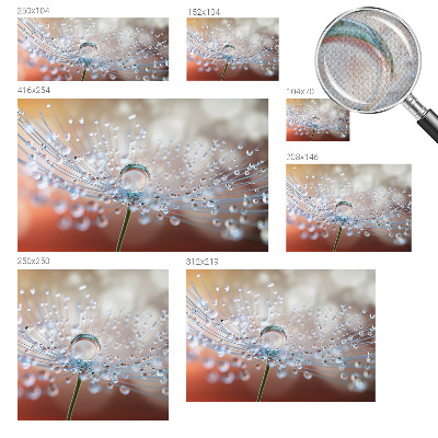 Samolepicí fototapeta do ložnice Kapka na pampelišku