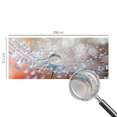 Samolepicí fototapeta do ložnice Kapka na pampelišku