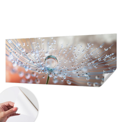 Samolepicí fototapeta do ložnice Kapka na pampelišku