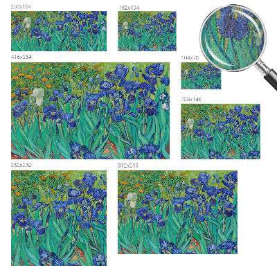 Fototapeta do dětského pokoje Zahradní květiny