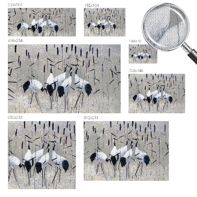 Samolepící fototapeta 3d Harmonické jeřáby