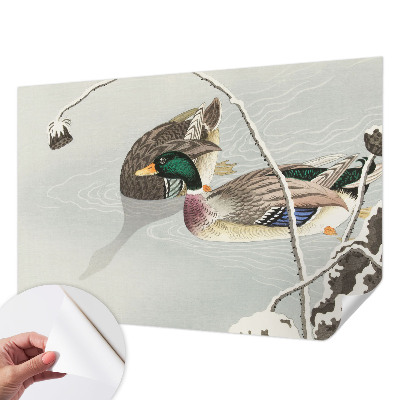 Samolepící tapeta Klidné kachny