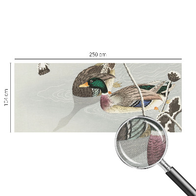 Samolepící tapeta Klidné kachny