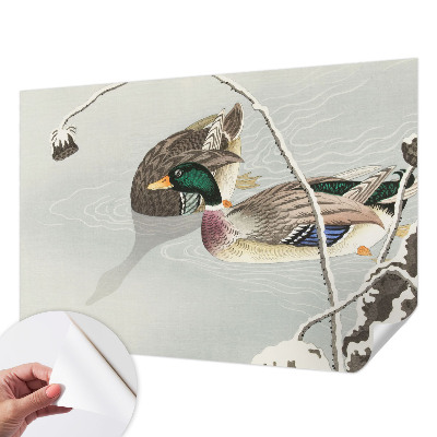 Samolepící tapeta Klidné kachny